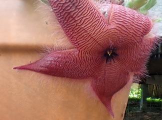 PA300099a.jpg